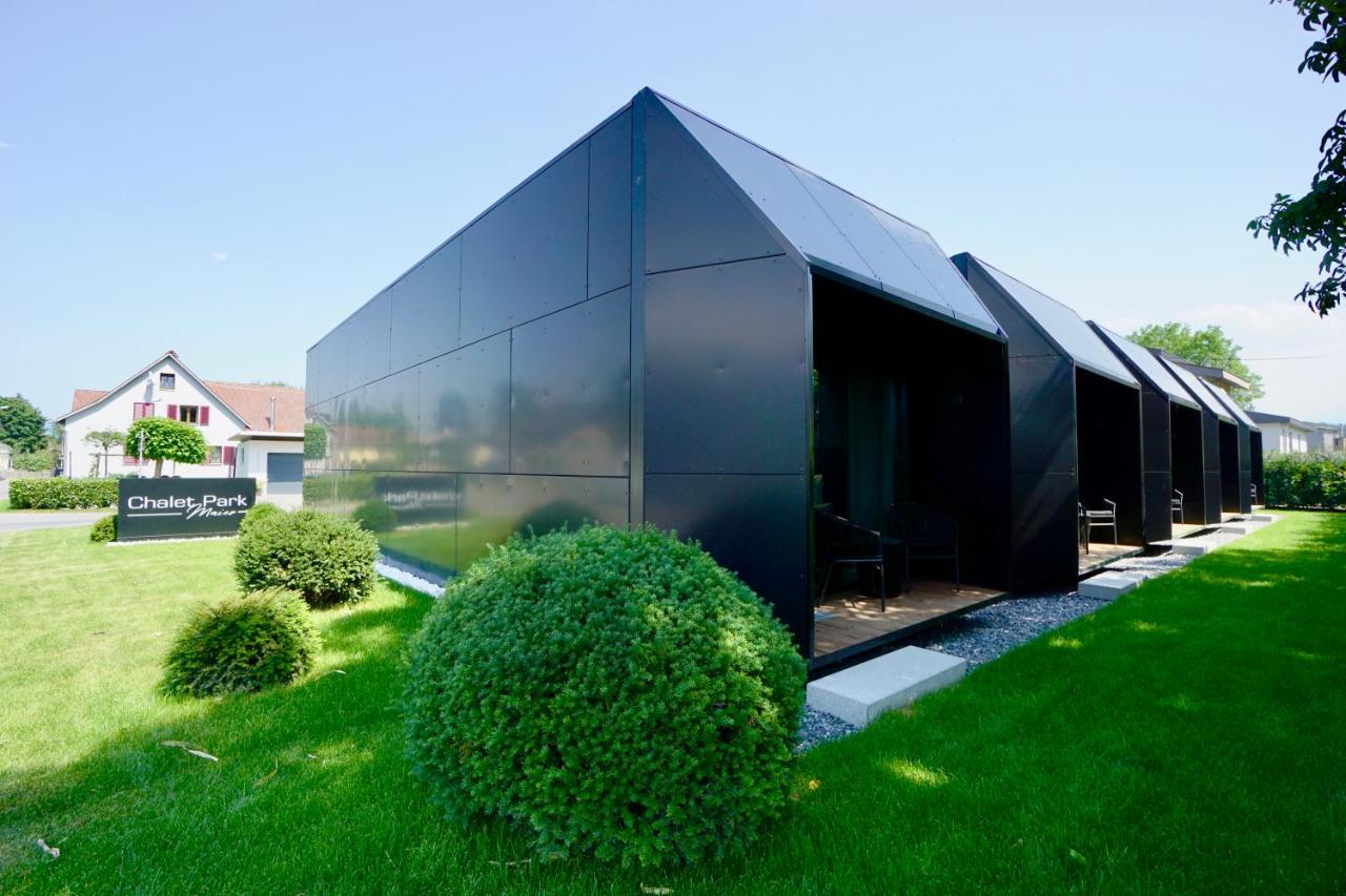 Chalet Park By Maier Maeder Mader Zewnętrze zdjęcie